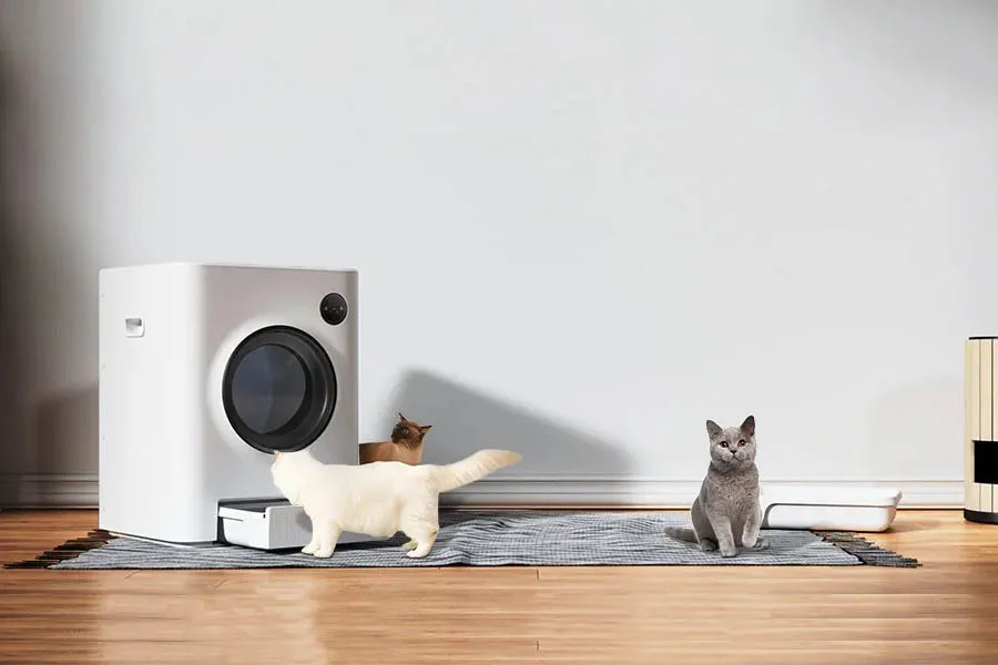 automatic litter box for cats