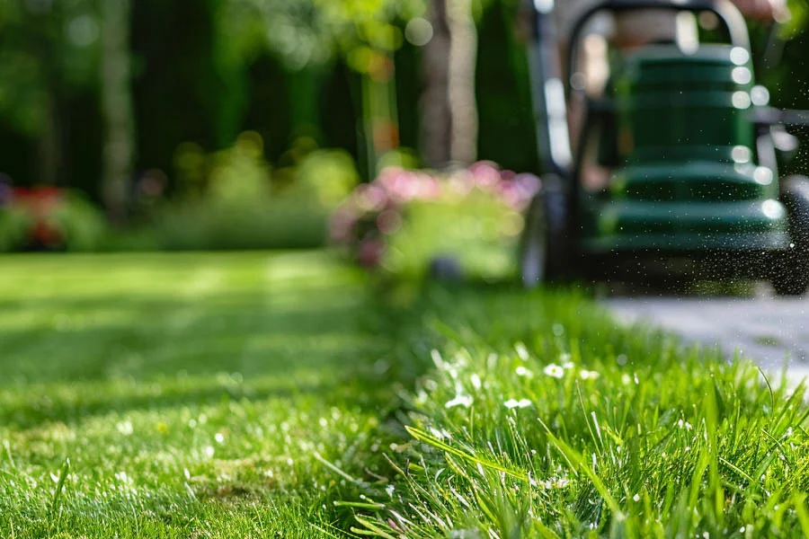 battery powered small lawn mower